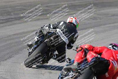 media/Feb-04-2024-SoCal Trackdays (Sun) [[91d6515b1d]]/4-Bowl Backside (11am)/
